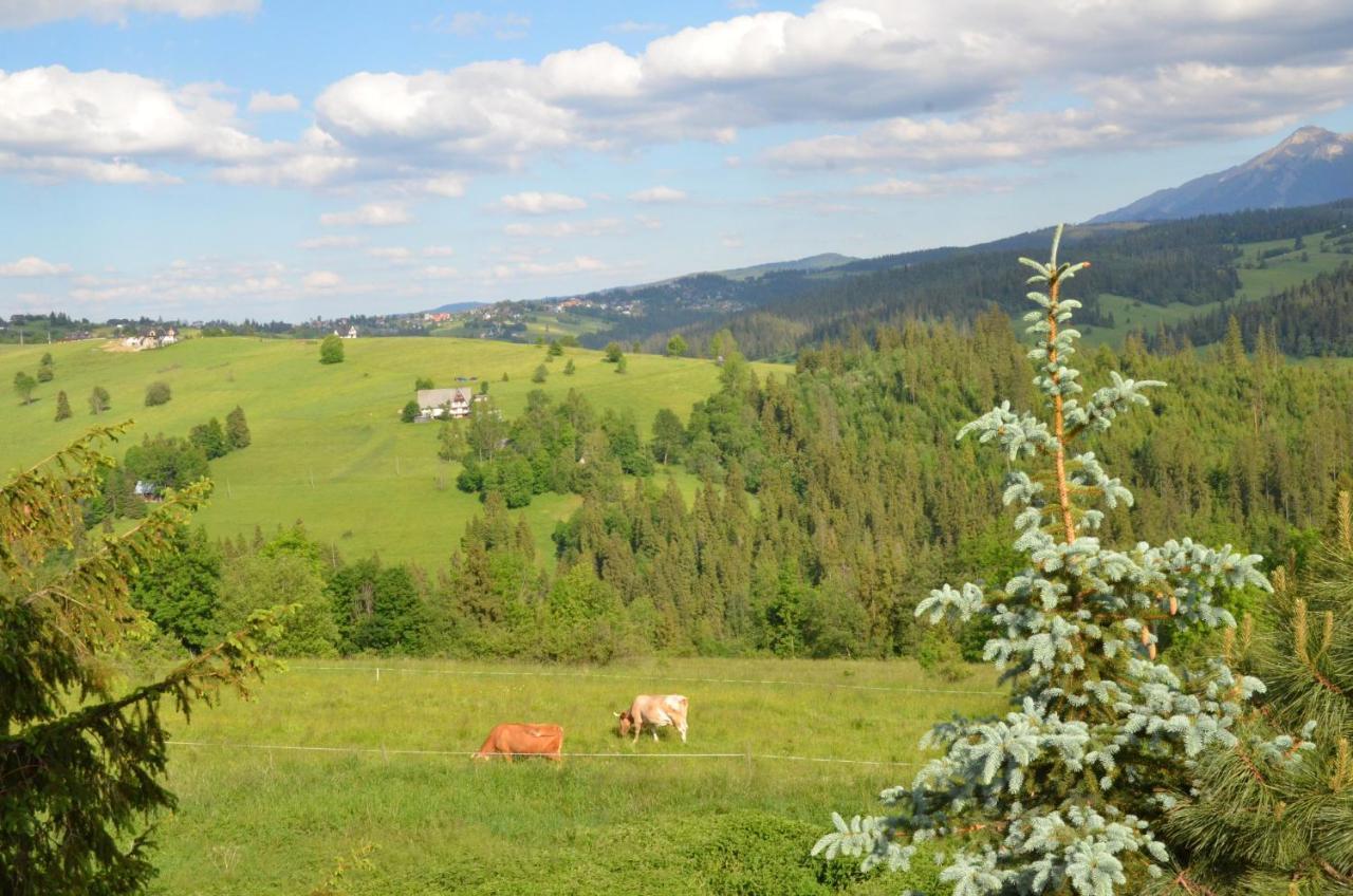 Sleboda Wynajem Pokoi Ewa Satola Biały Dunajec Exterior foto
