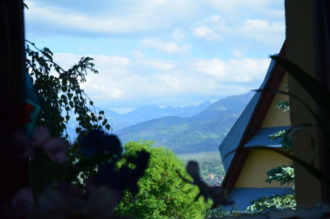 Sleboda Wynajem Pokoi Ewa Satola Biały Dunajec Exterior foto